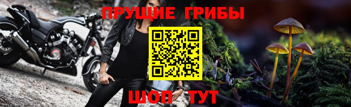 купить наркотики сайты  Вход с VPN  Химки  Псилоцибиновые грибы Cubensis  Псилоцибиновые грибы Magic Shrooms 